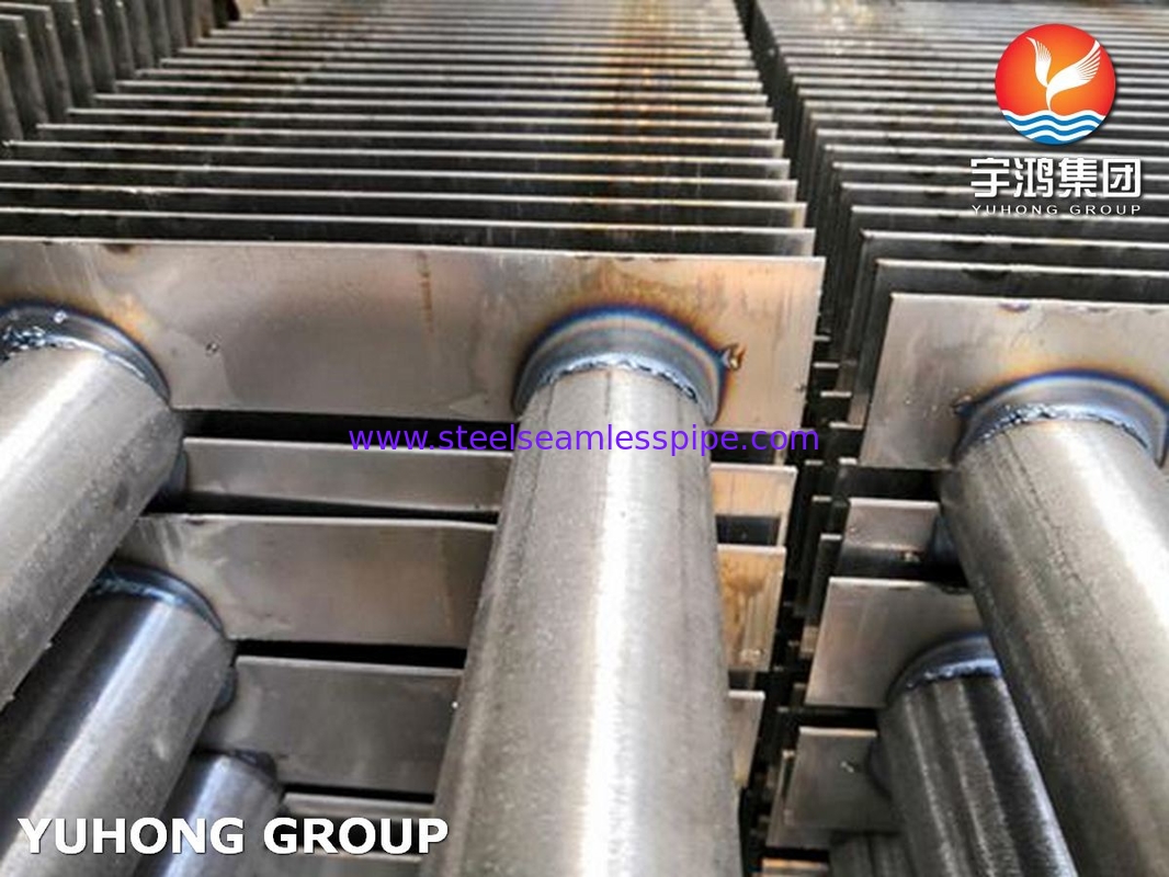 Stainless Steel Fin Tube H Type A213 TP316L With SS Fin SS316L For Smoke Heater