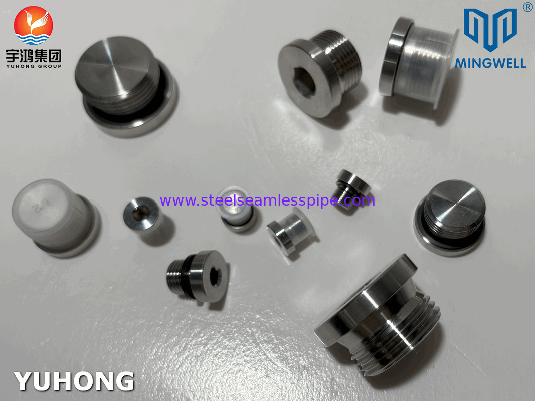 Forged 316L Hydraulic Stainless Steel Fitting Plugs Male And Female With JIS B8363 Standard