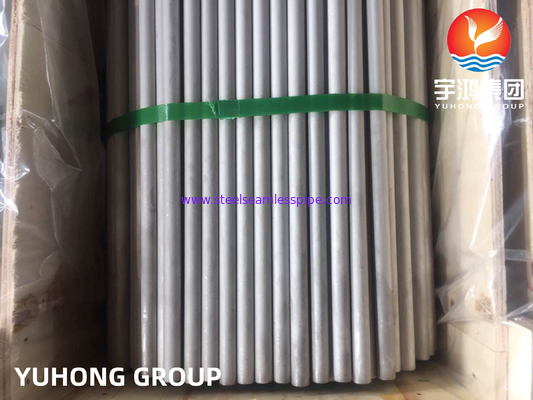 ASME SA213 TP321 / 1.4541 / S32100 Stainless Steel Seamless Boiler Tube With NDT
