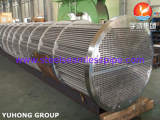 ASME SA213 TP316L Tube Bundle, SA350 LF2 CL1N Tube Sheet for Oil&Gas and Chemical Industry