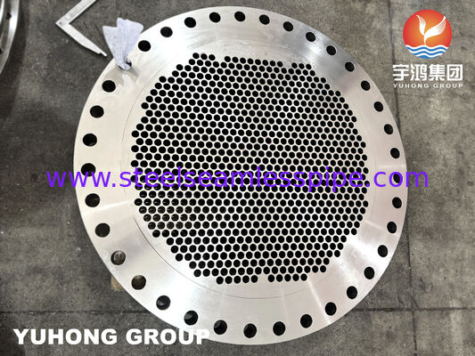 ASTM A182 F316L Stainless Steel Forged Tubesheet with Precision Machined Tube Holes for Heat Exchangers