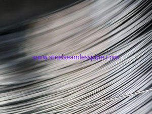 Food Grade 0.3mm 302 Spring Wire Industrial Stainless Steel Jewelry Wire